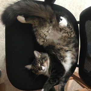 Meet your Posher, Alicia